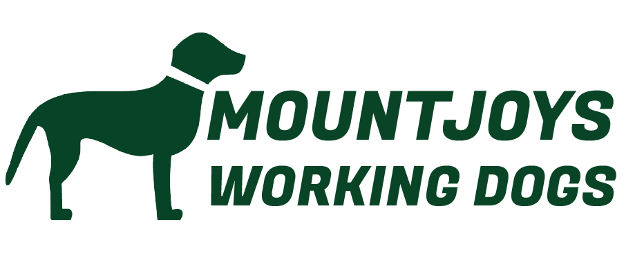 Mountjoys Training Paddock